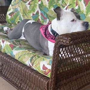 Meet your Posher, Jeff